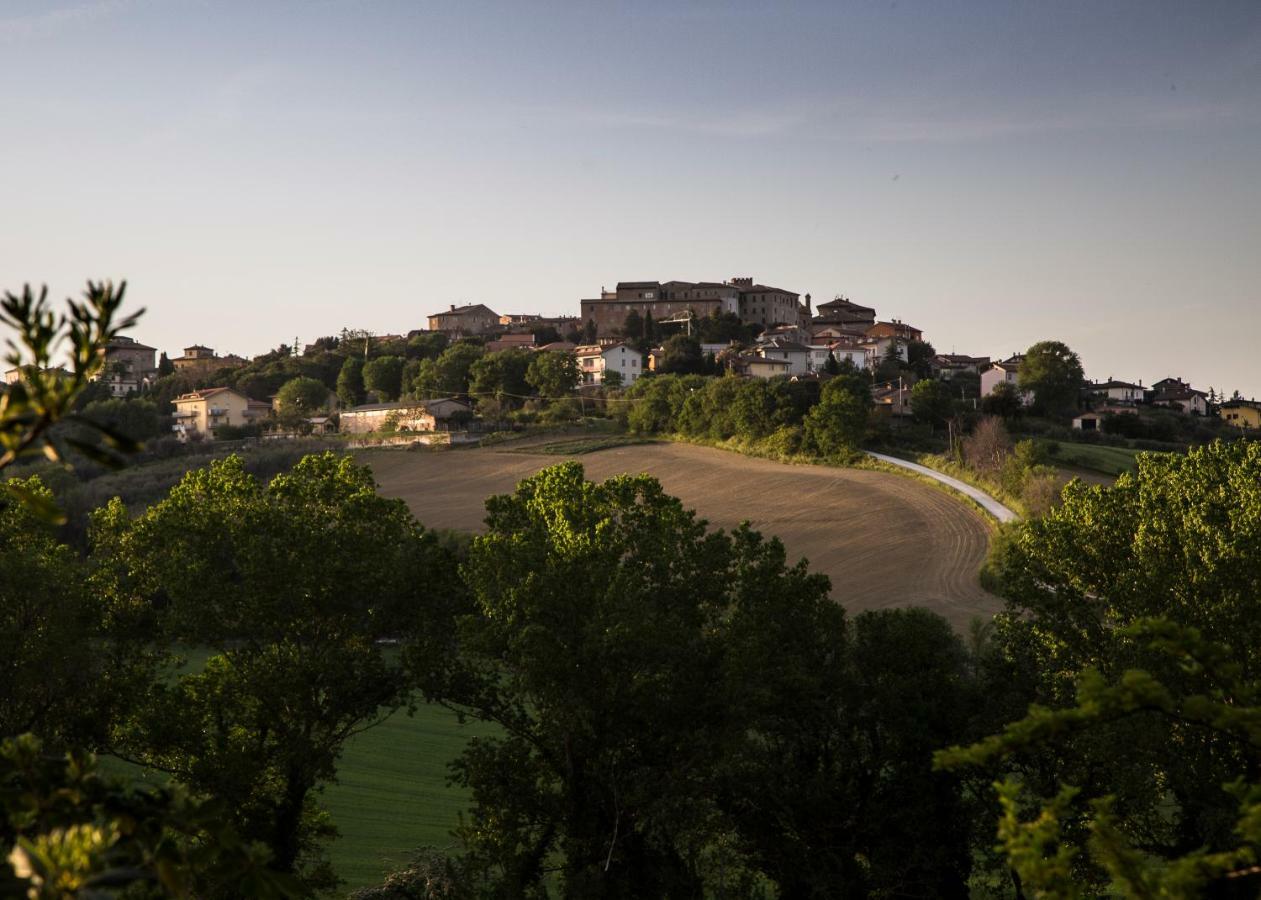 Grande Villa Storica Per Vacanze Con Giardino Privato E Piscina Ostra 외부 사진