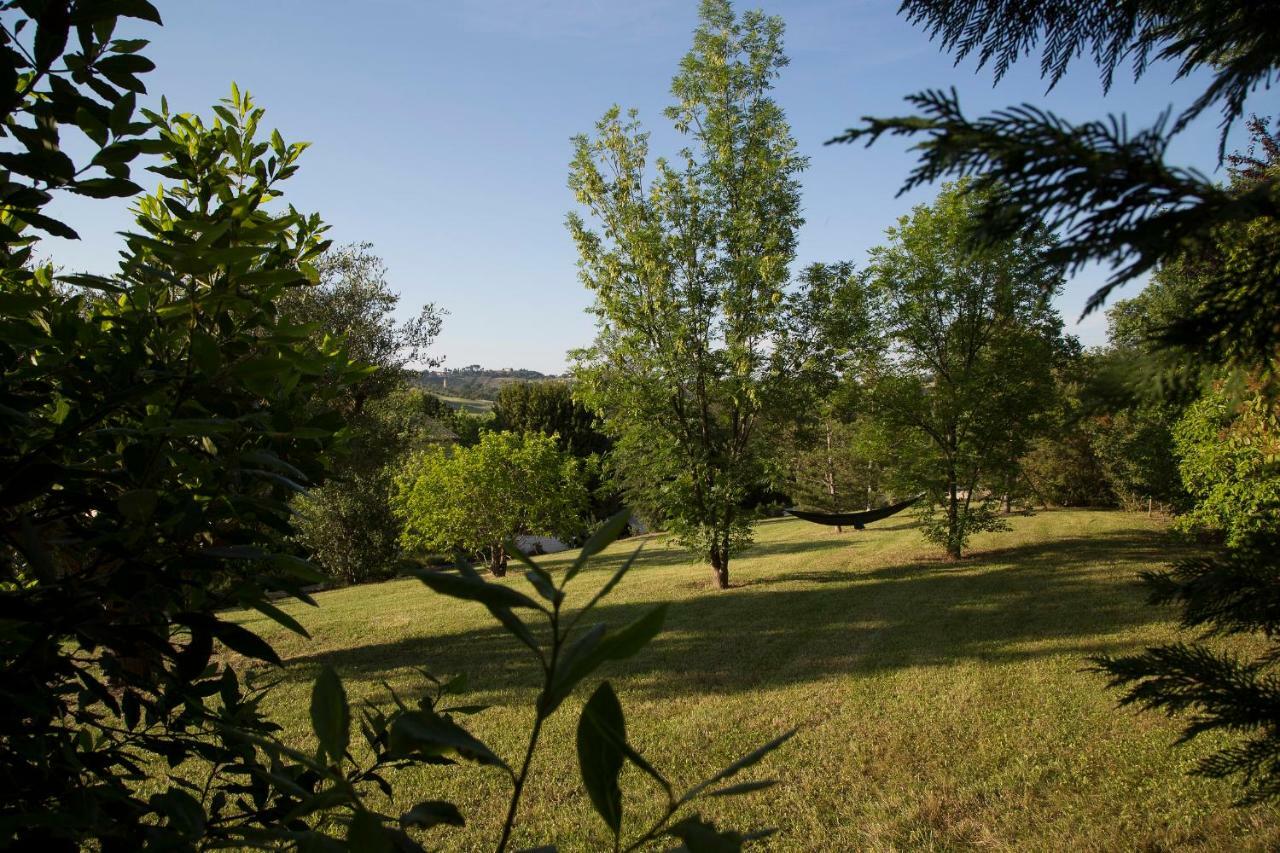 Grande Villa Storica Per Vacanze Con Giardino Privato E Piscina Ostra 외부 사진