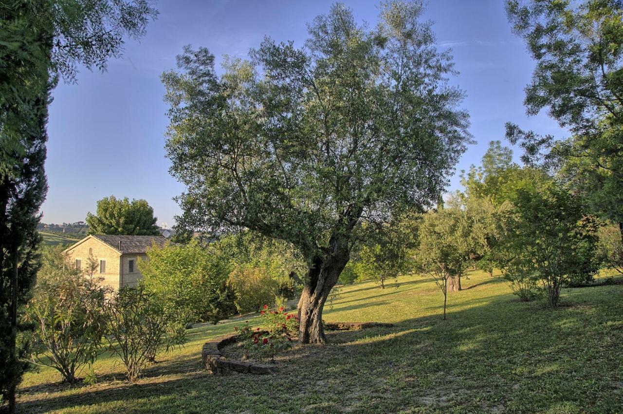 Grande Villa Storica Per Vacanze Con Giardino Privato E Piscina Ostra 외부 사진